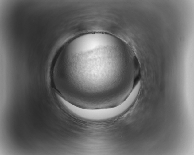 X0000088380248200706051104