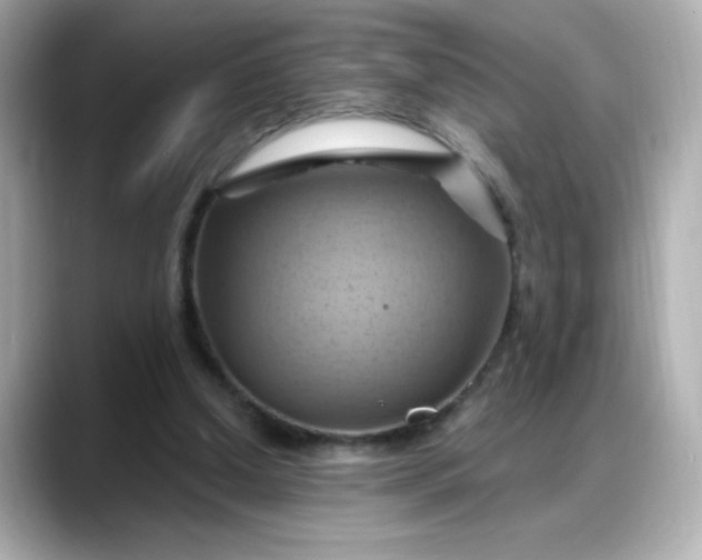 X0000088380250200706051104