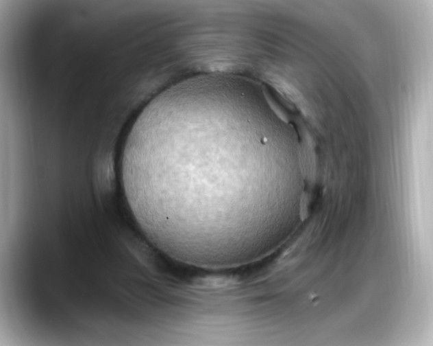 X0000088380251200706051104