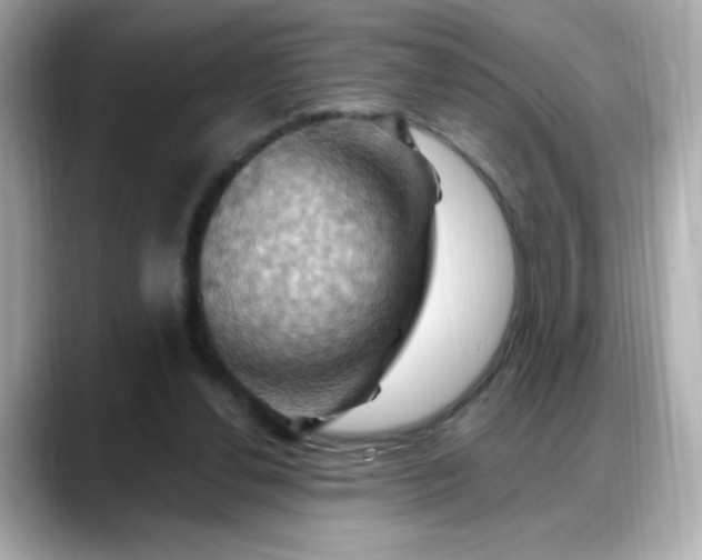 X0000088380252200706051104