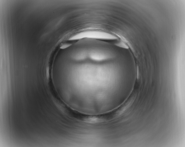 X0000088380253200706051104