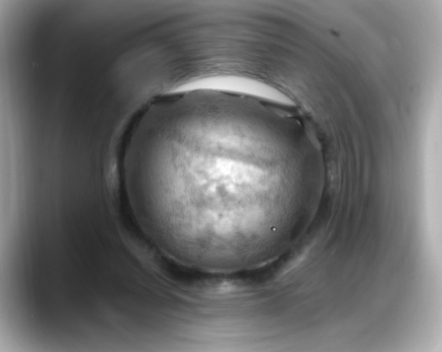 X0000088380254200706051105