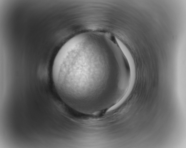 X0000088380256200706051105