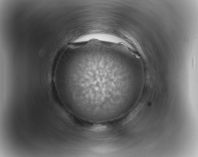 X0000088380257200706051105