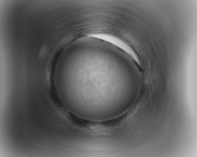 X0000088380258200706051105