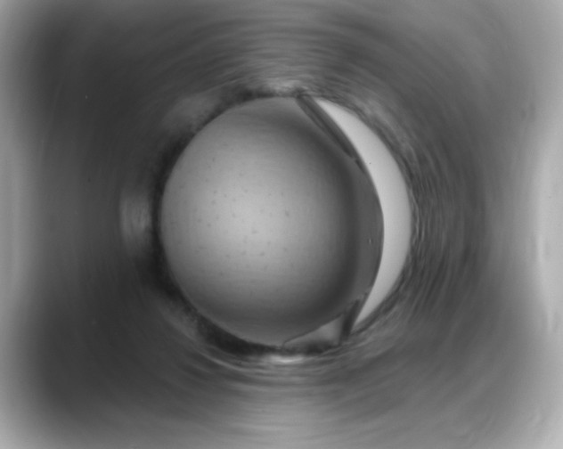 X0000088380260200706051105