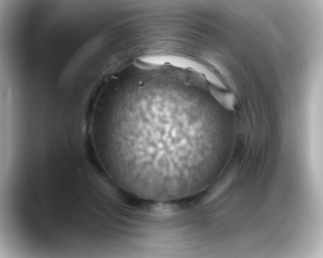 X0000088380261200706051105