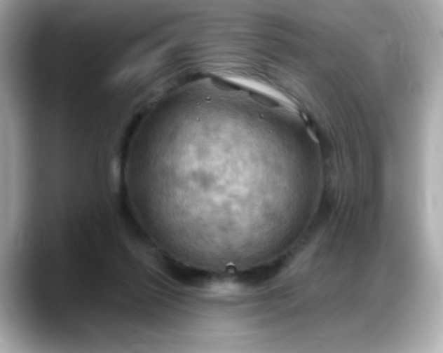 X0000088380262200706051105