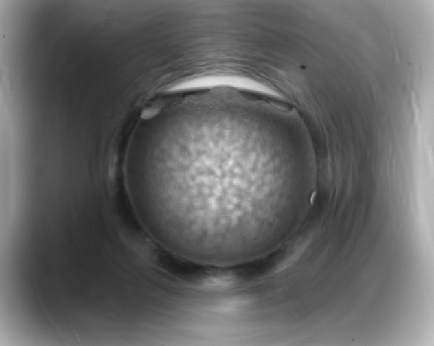 X0000088380263200706051105