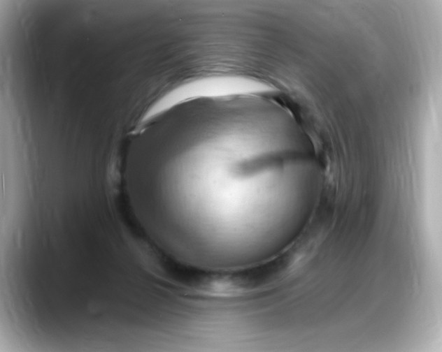 X0000088380264200706051105