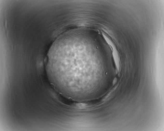 X0000088380265200706051105