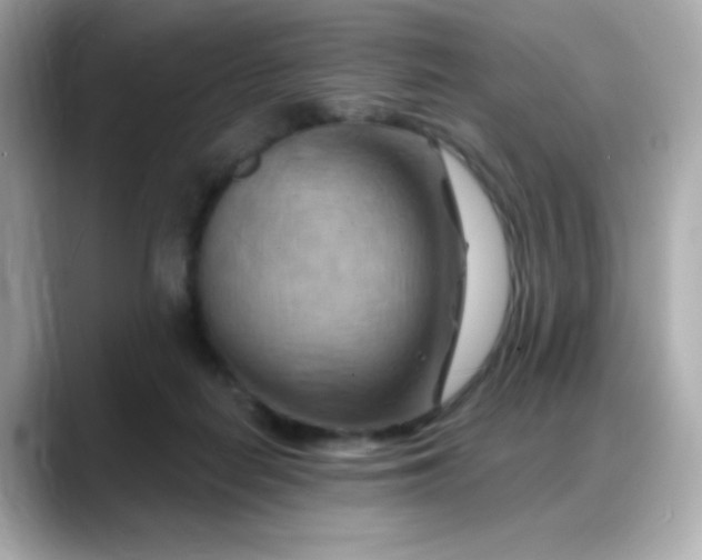 X0000088380266200706051105