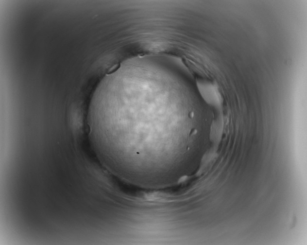 X0000088380268200706051105