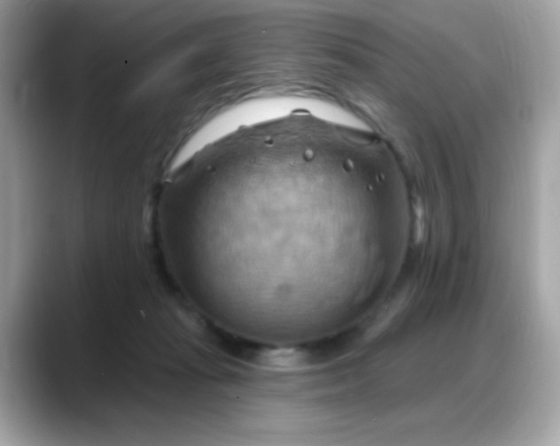 X0000088380269200706051105