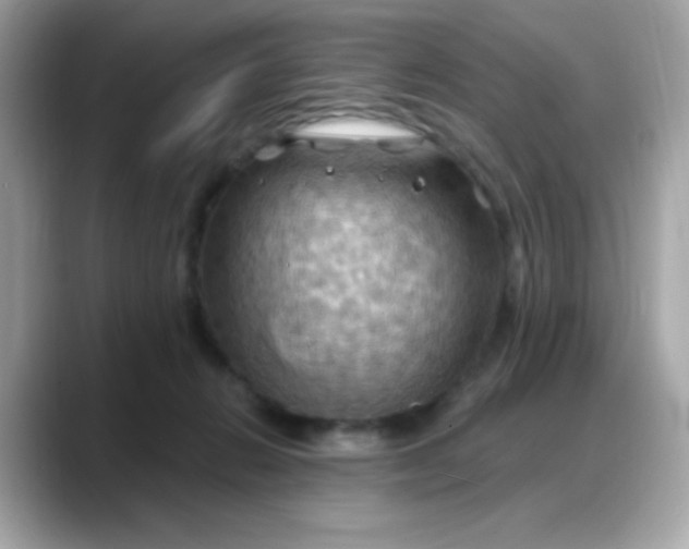 X0000088380270200706051105