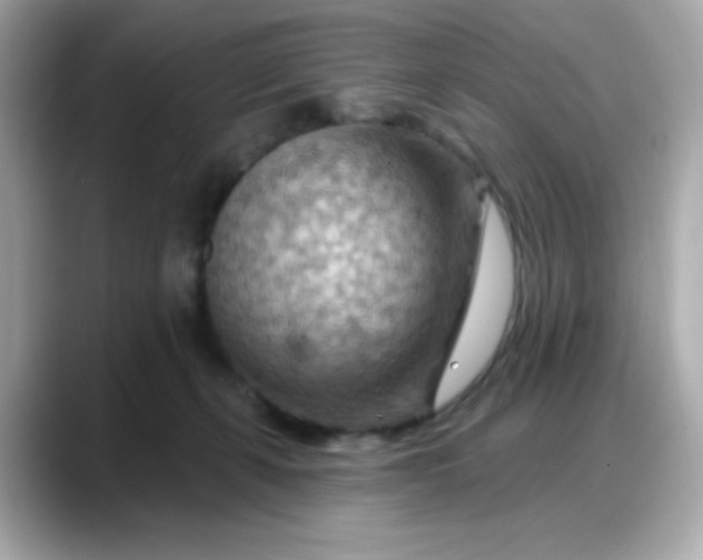 X0000088380271200706051105