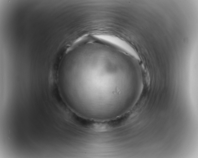 X0000088380272200706051105