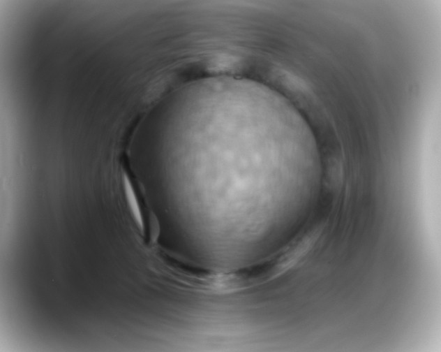 X0000088380273200706051105