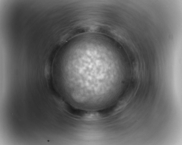 X0000088380274200706051105