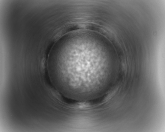 X0000088380275200706051105