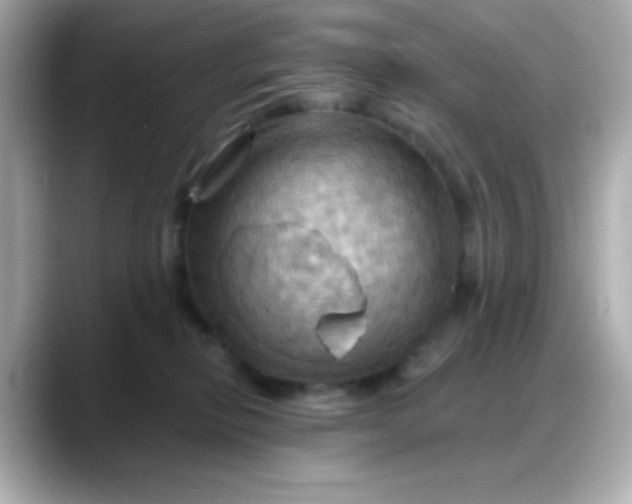 X0000088380278200706051105