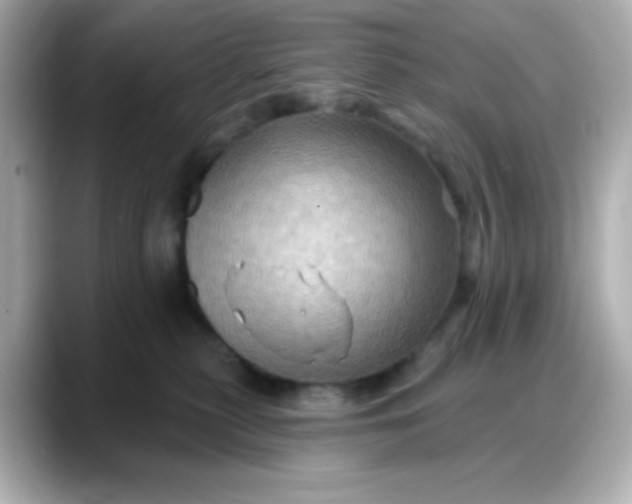 X0000088380279200706051105