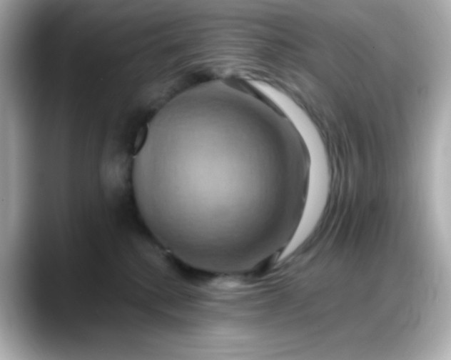 X0000088380280200706051105