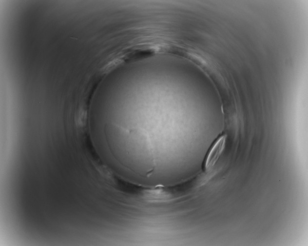 X0000088380281200706051105