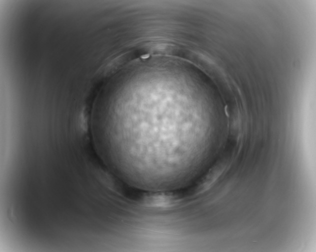 X0000088380282200706051105