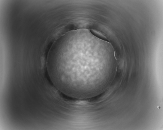 X0000088380283200706051105