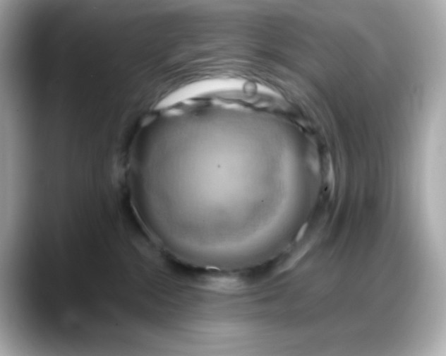 X0000088380284200706051105
