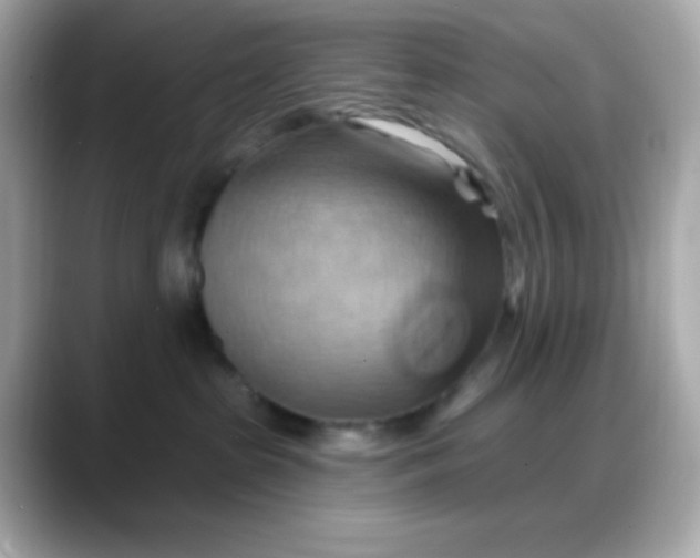 X0000088380285200706051105