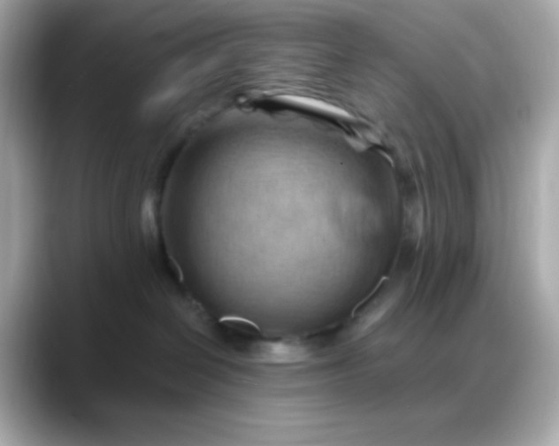 X0000088380286200706051105
