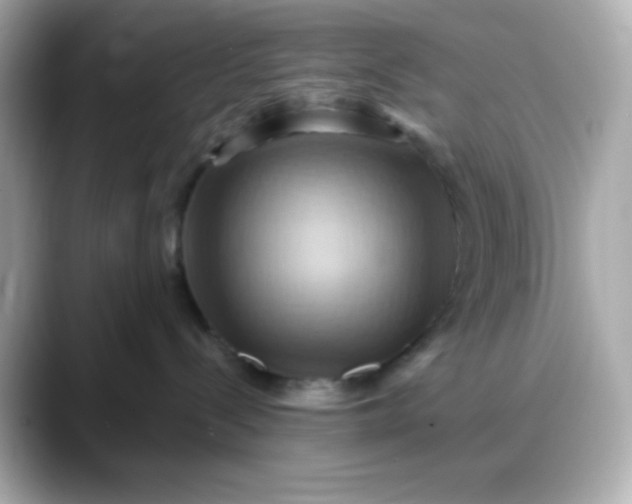 X0000088380288200706051105