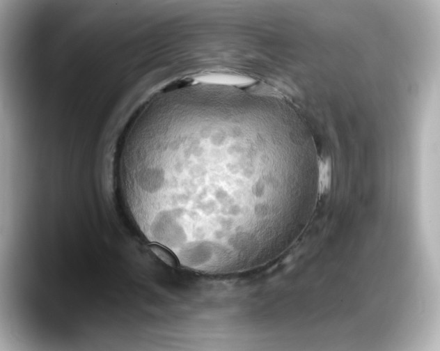 X0000088380291200706051104
