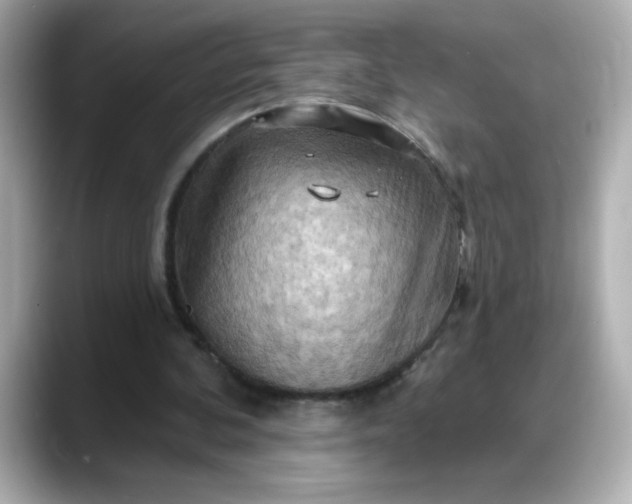 X0000088380292200706051104