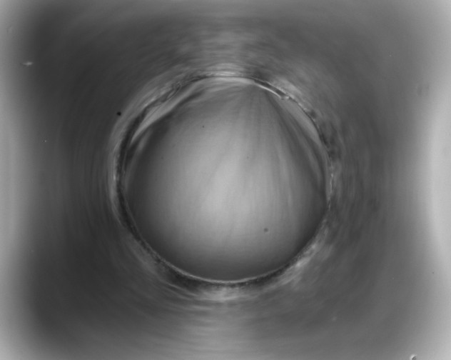 X0000088380293200706051104