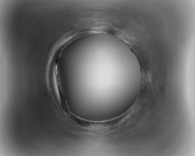 X0000088380294200706051104