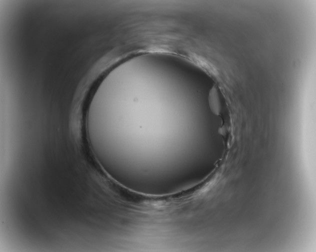 X0000088380295200706051104