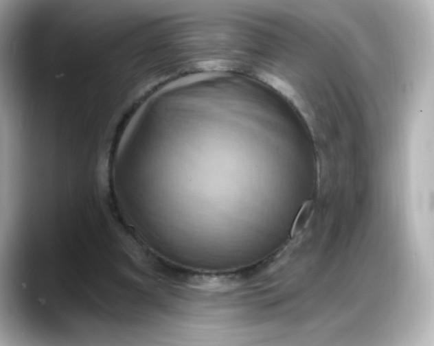 X0000088380297200706051104