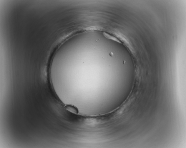 X0000088380298200706051104