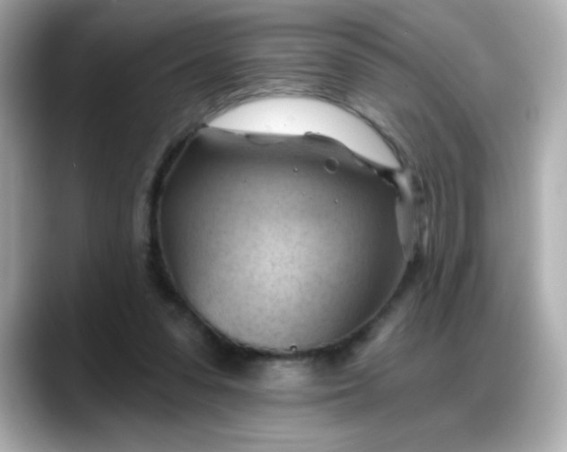 X0000088380303200706051104