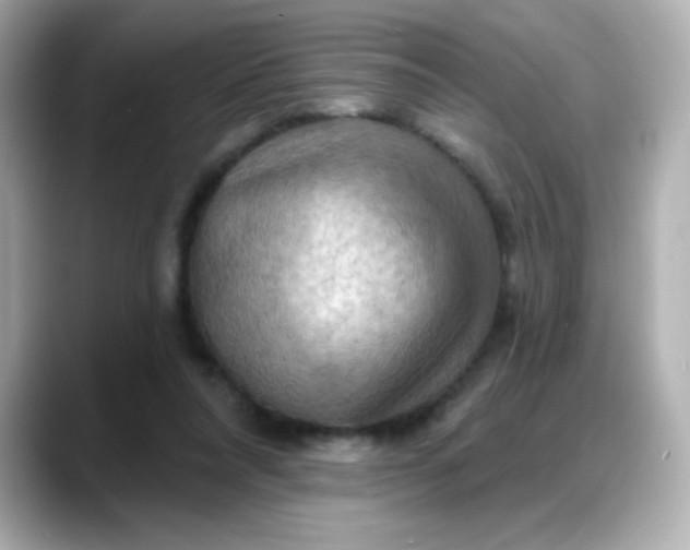 X0000088380304200706051104