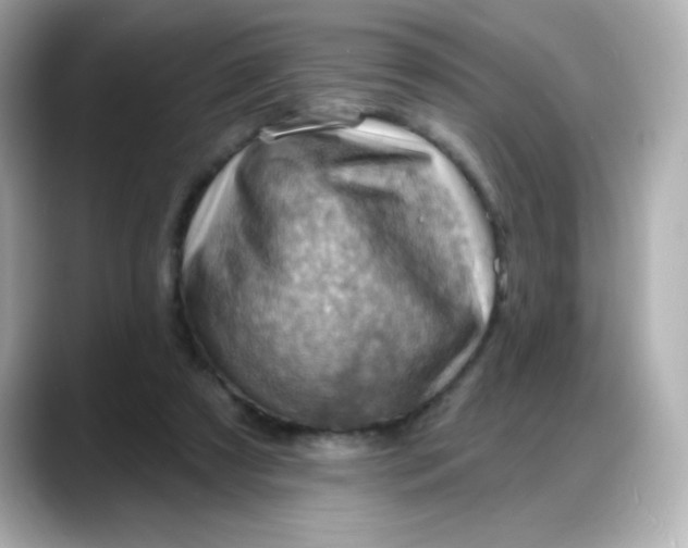 X0000088380305200706051104