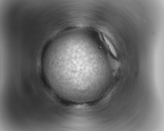 X0000088380306200706051104