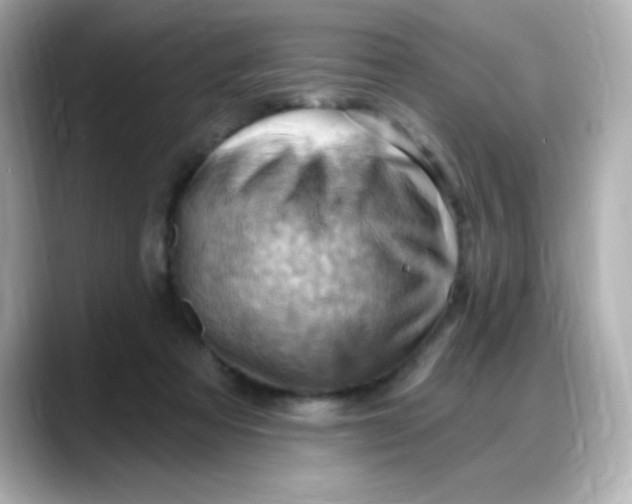 X0000088380313200706051104