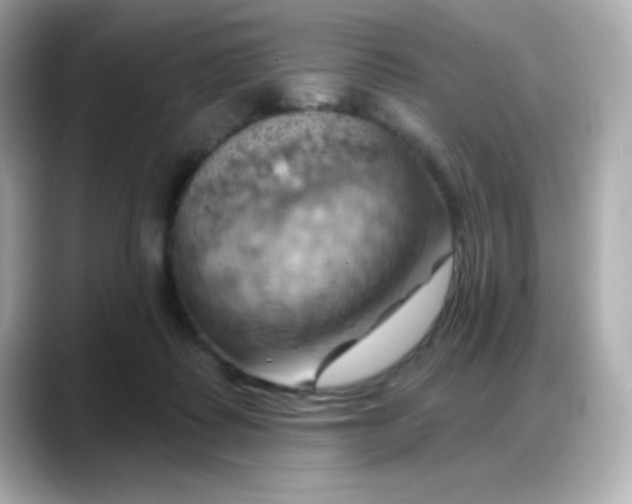 X0000088380315200706051104
