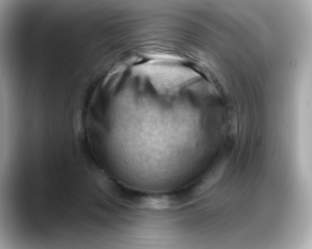 X0000088380317200706051104