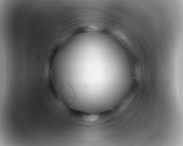 X0000088380318200706051104