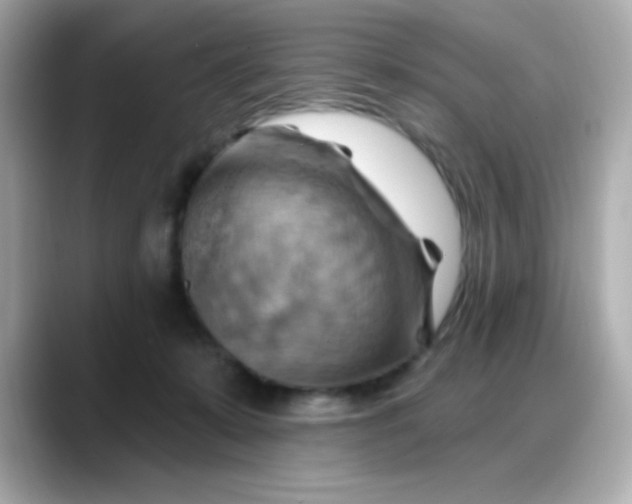 X0000088380319200706051104